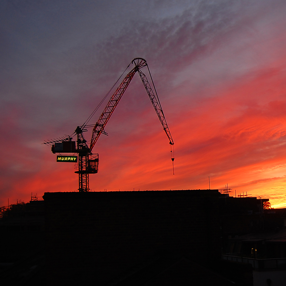 Landscape, sunset with Murphys crane